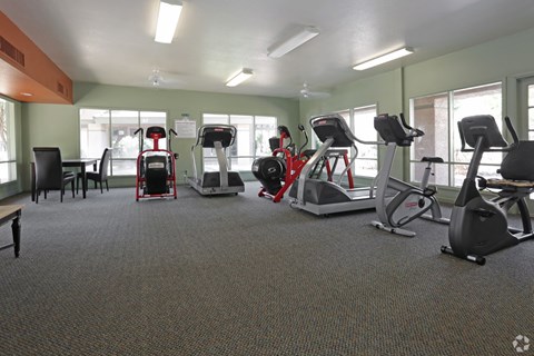 The Woods Apartments