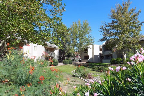 The Woods Apartments