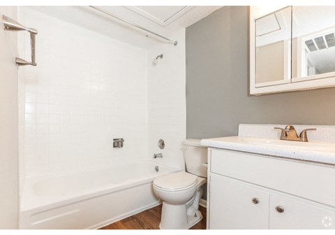 a bathroom with a toilet and a tub and a sink