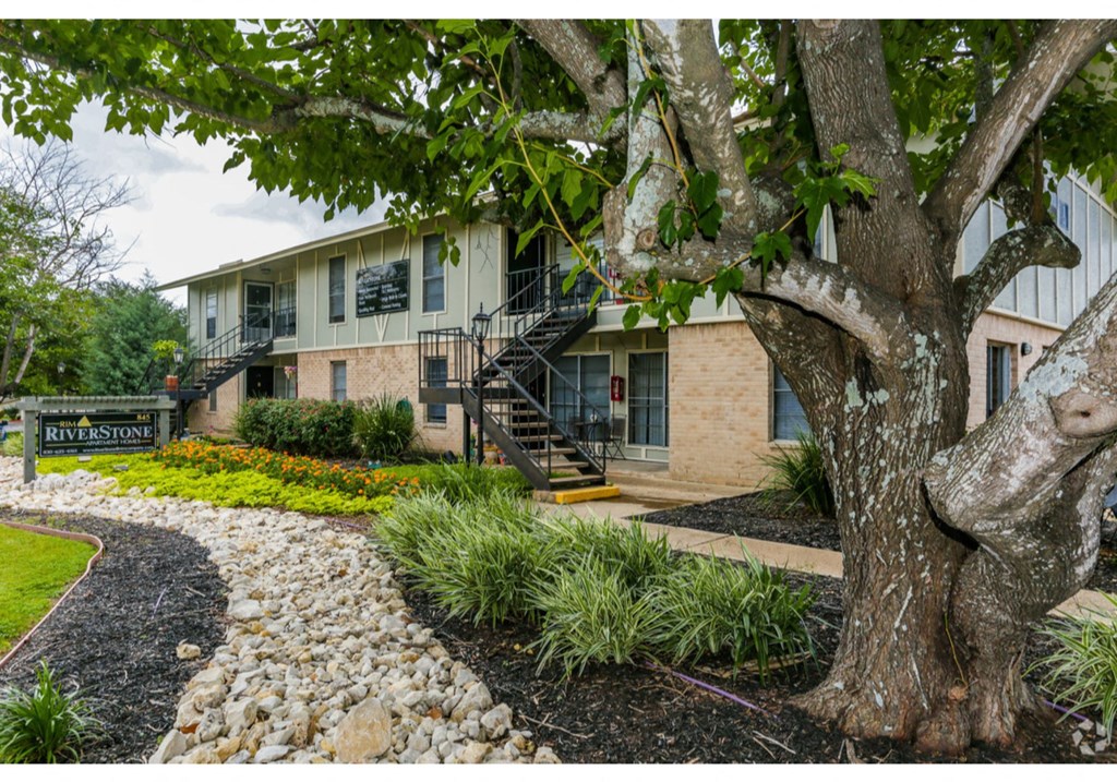a home with a tree and a stone pathway in front of it