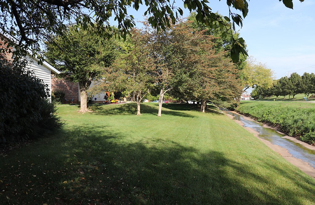 a yard with trees and grass next to a stream