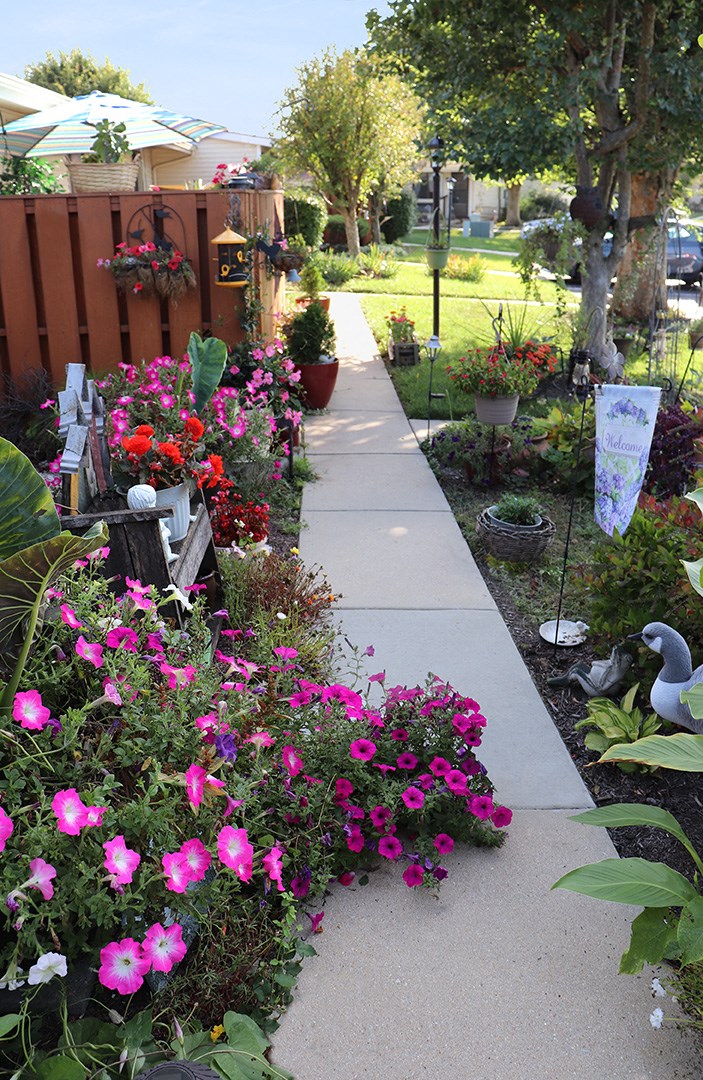 a sidewalk in a garden filled with flowers and plants