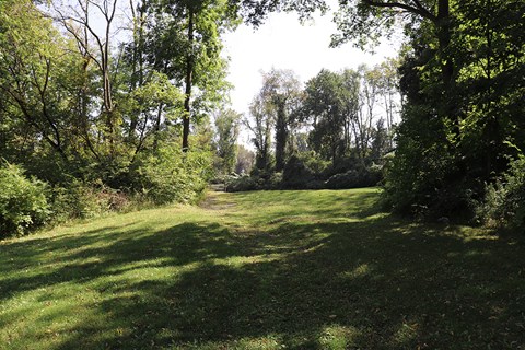 a grassy field with trees in the background