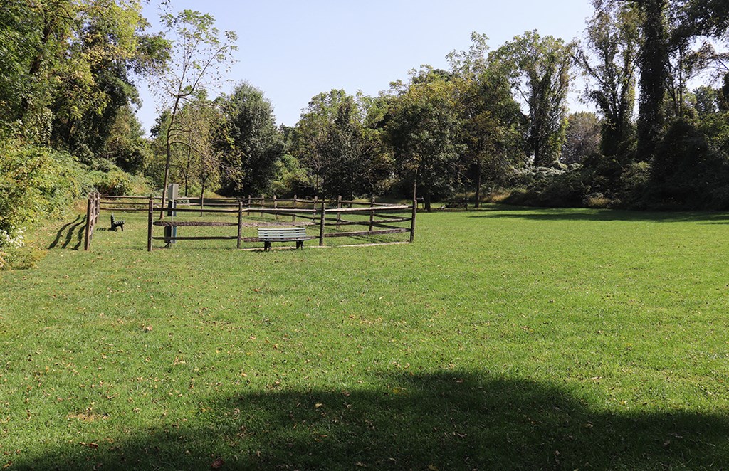 a park bench in the middle of a grass field