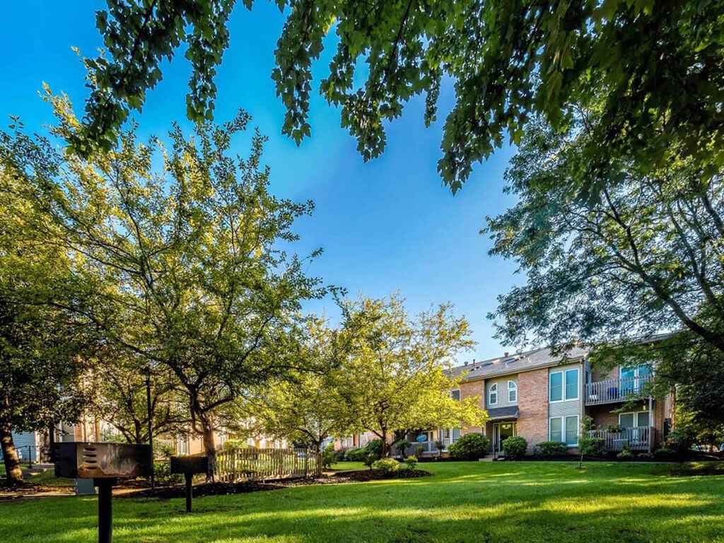 our apartments have a spacious yard and green trees