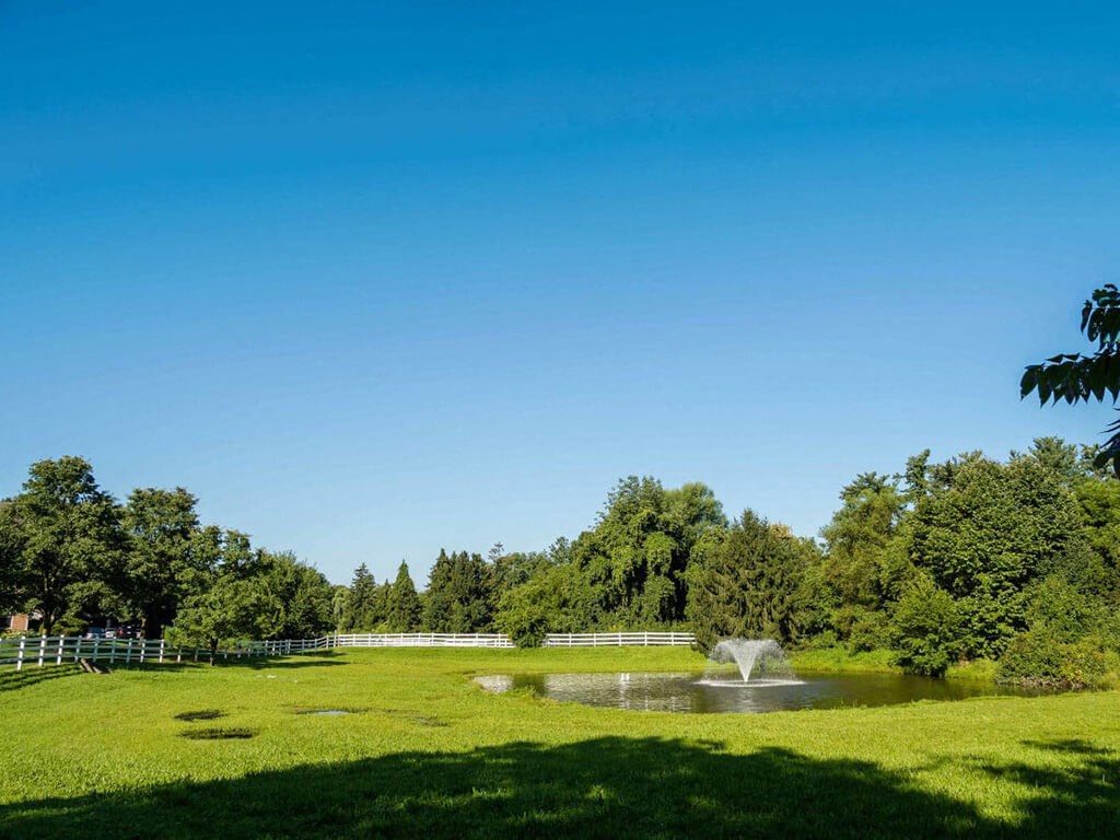 a fountain in the middle of a pond in a park