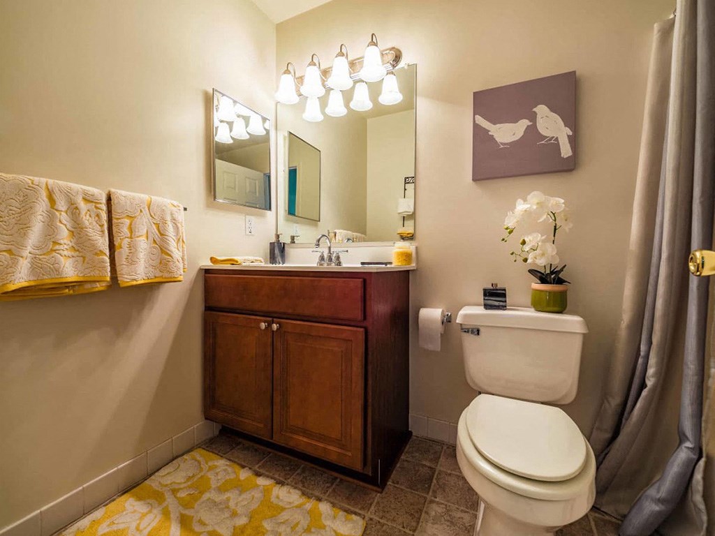 a bathroom with a toilet and a sink and a mirror