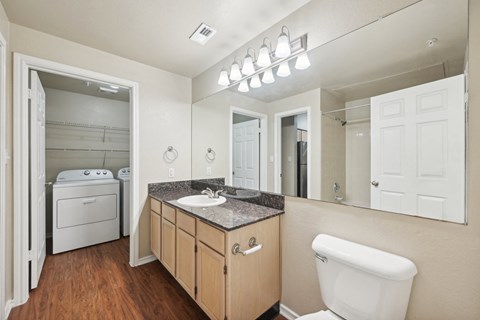 a bathroom with a sink and a toilet and a mirror