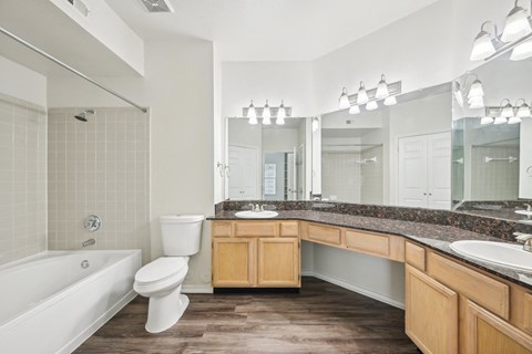 a bathroom with a tub and a toilet and a sink