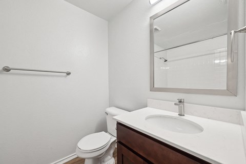 a bathroom with a sink and a toilet and a mirror
