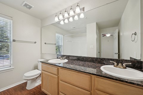 a bathroom with two sinks and a toilet and a mirror