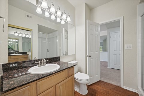 a bathroom with a sink and a toilet and a mirror