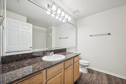 a bathroom with a sink and a toilet and a mirror