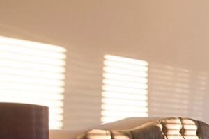 Plush Carpeting in Bedrooms at Town Center at Lake Carolina, Columbia, South Carolina 29229
