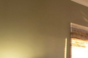 Ceiling Fans in Living Areas at Town Center at Lake Carolina Apartments, Columbia, SC 29229