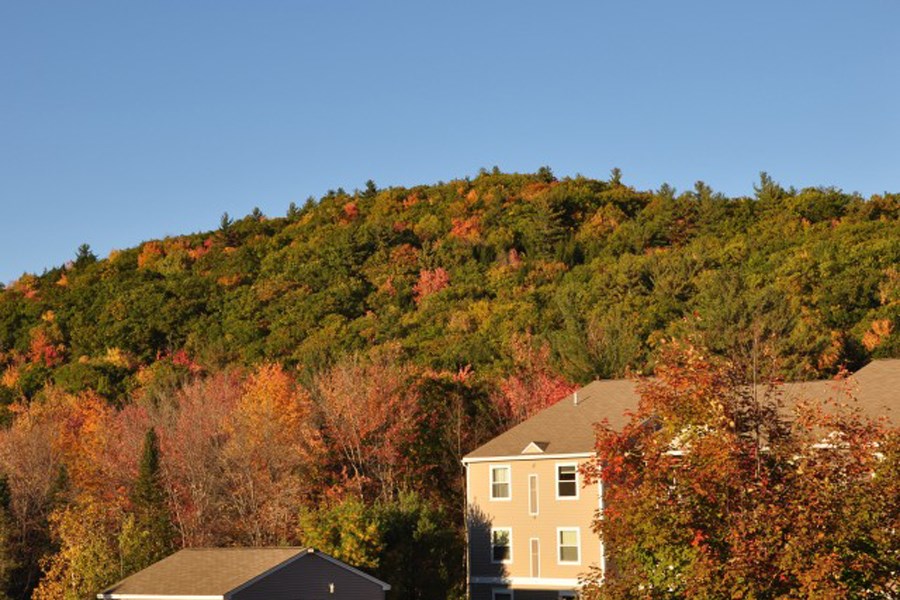 Beautiful Surroundings at Stonefarm Apartments, Lebanon, NH, 03766