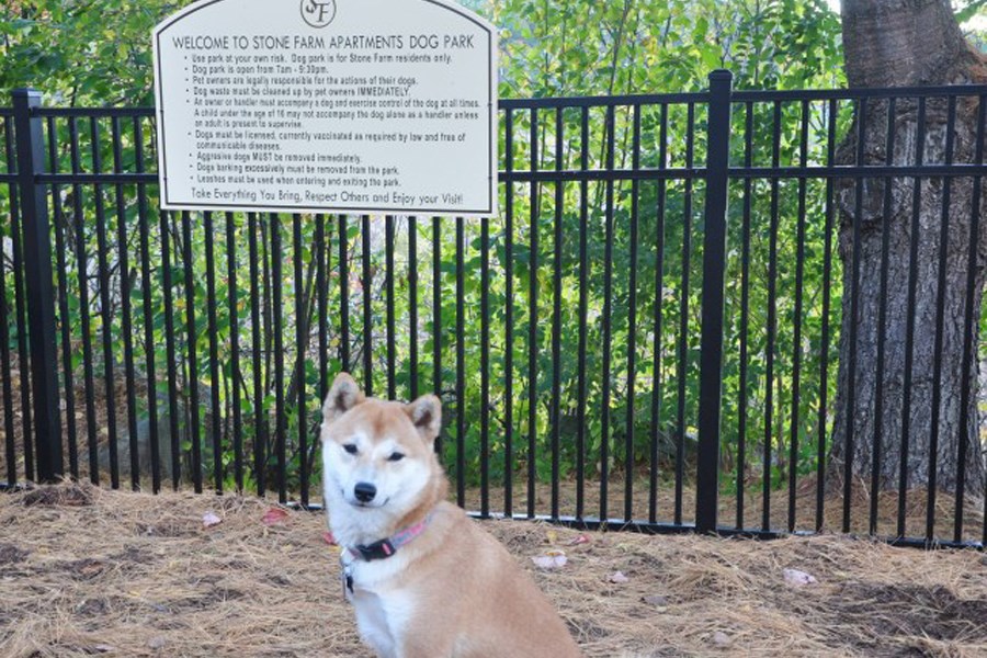 Pet Friendly Community at Stonefarm Apartments, Lebanon