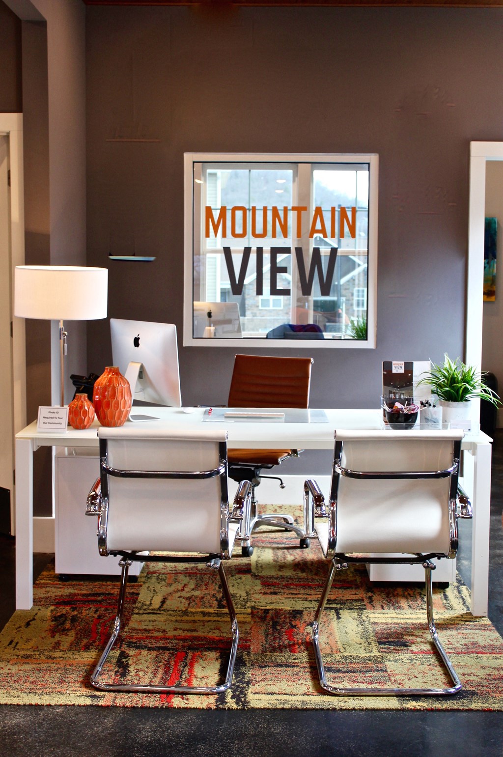a mountain view office with a desk and a computer