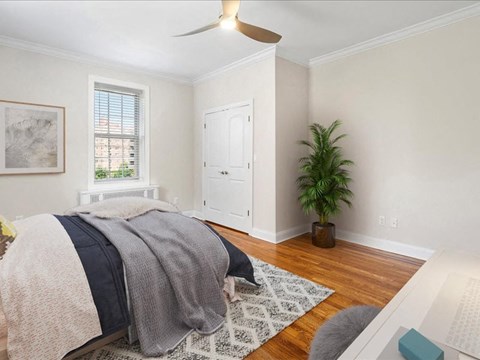 a bedroom with a bed and a potted plant