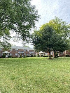 73 Wolff Ave. #AD 1-2 Beds Apartment for Rent - Photo Gallery 5