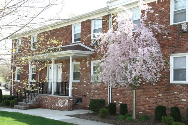 a brick house with a flowering tree in front of it