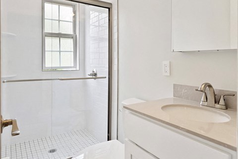 a bathroom with a sink and a shower