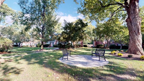 two park benches in a park with trees