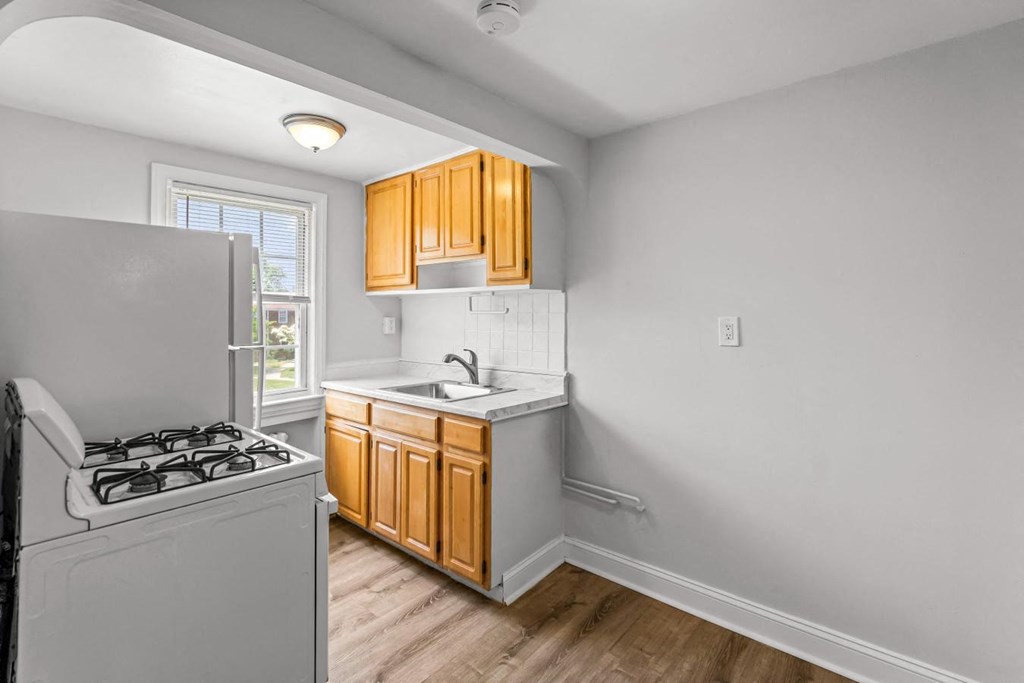 a kitchen with a stove and a sink and a refrigerator