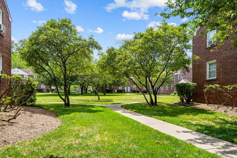 our apartments have a spacious courtyard with trees and a sidewalk
