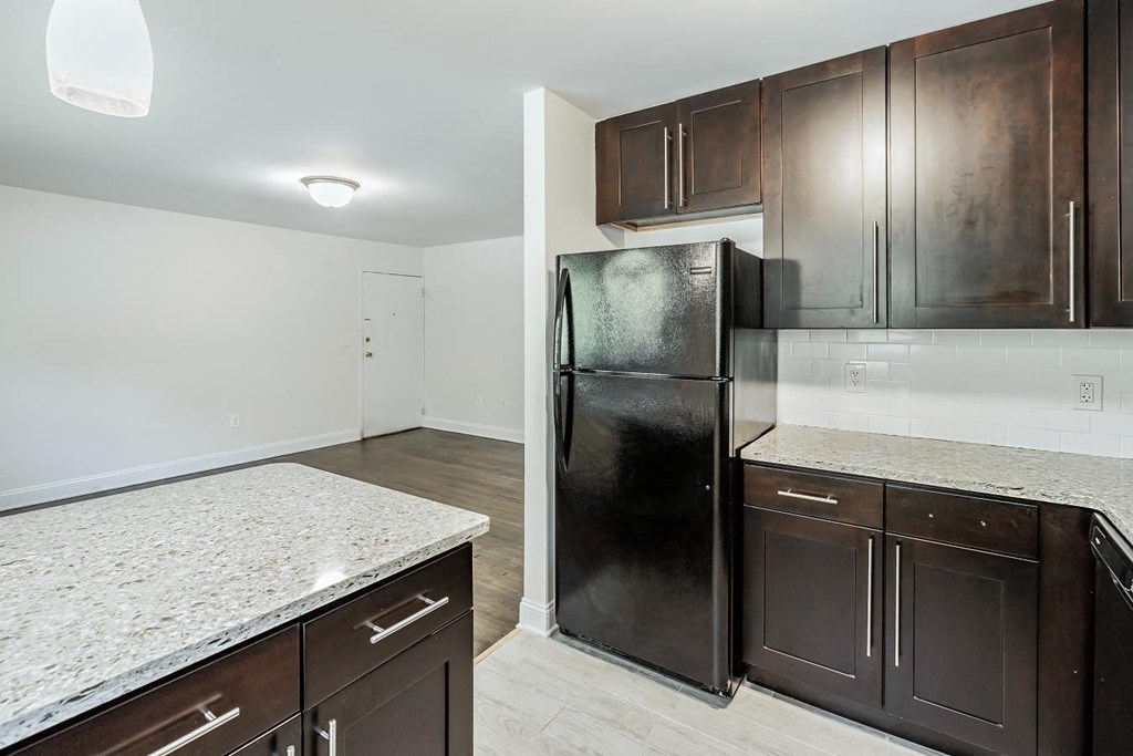a kitchen with a black refrigerator and counter tops