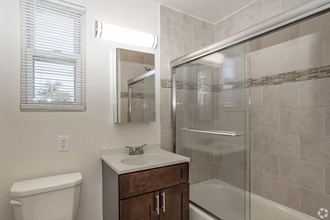 a bathroom with a shower sink and toilet and a mirror
