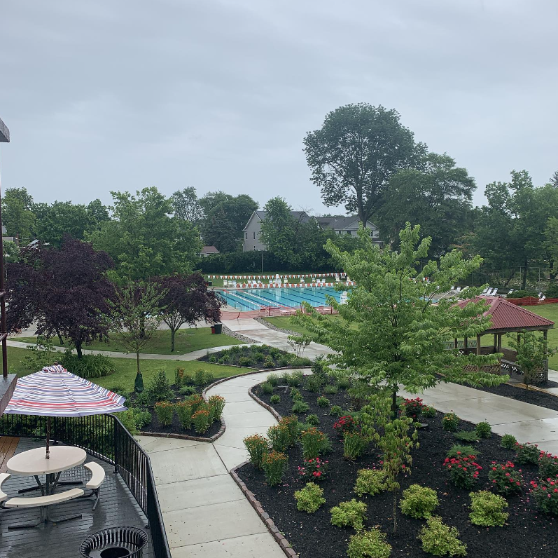 a view of a pool and a garden with umbrellas