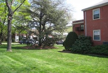 1452 Center Avenue Studio-2 Beds Apartment for Rent - Photo Gallery 4
