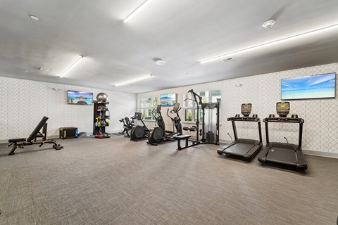 A gym with treadmills, exercise bikes, and other equipment.