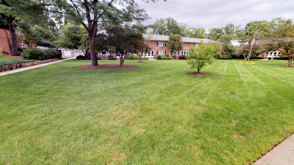 a yard in front of a house with grass and trees