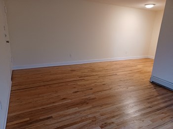 461 Heckman Street Apt. 103 1-2 Beds Apartment for Rent - Photo Gallery 4