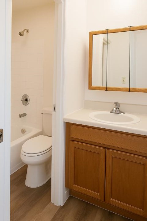 A white toilet is in a bathroom with a wooden cabinet and a mirror above the sink.