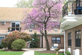 a purple tree in front of a brick house