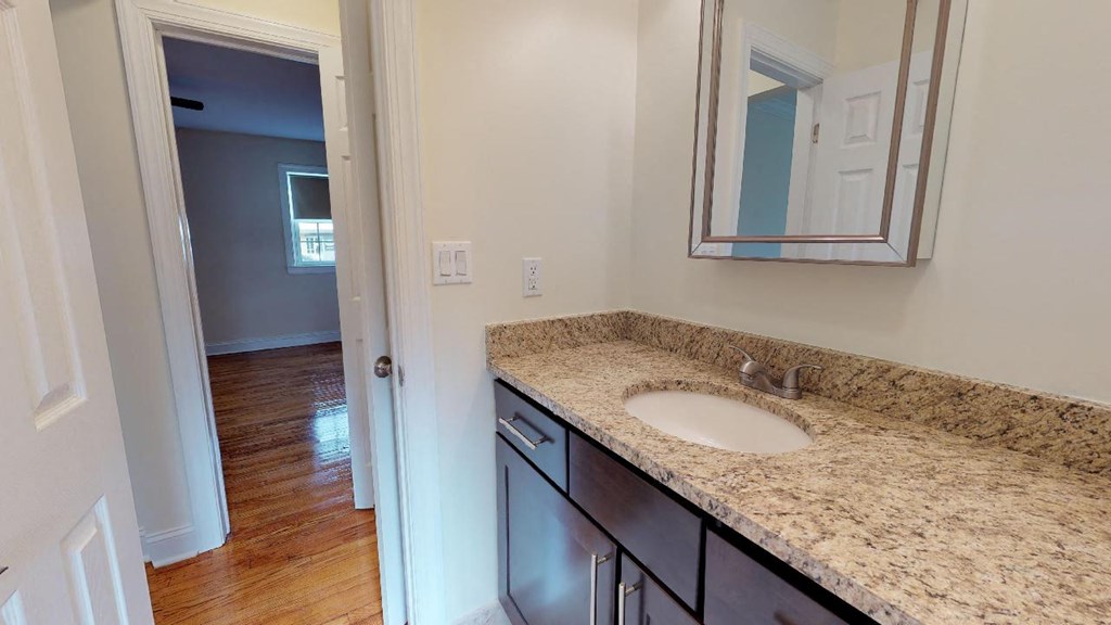 a bathroom with a sink and a mirror