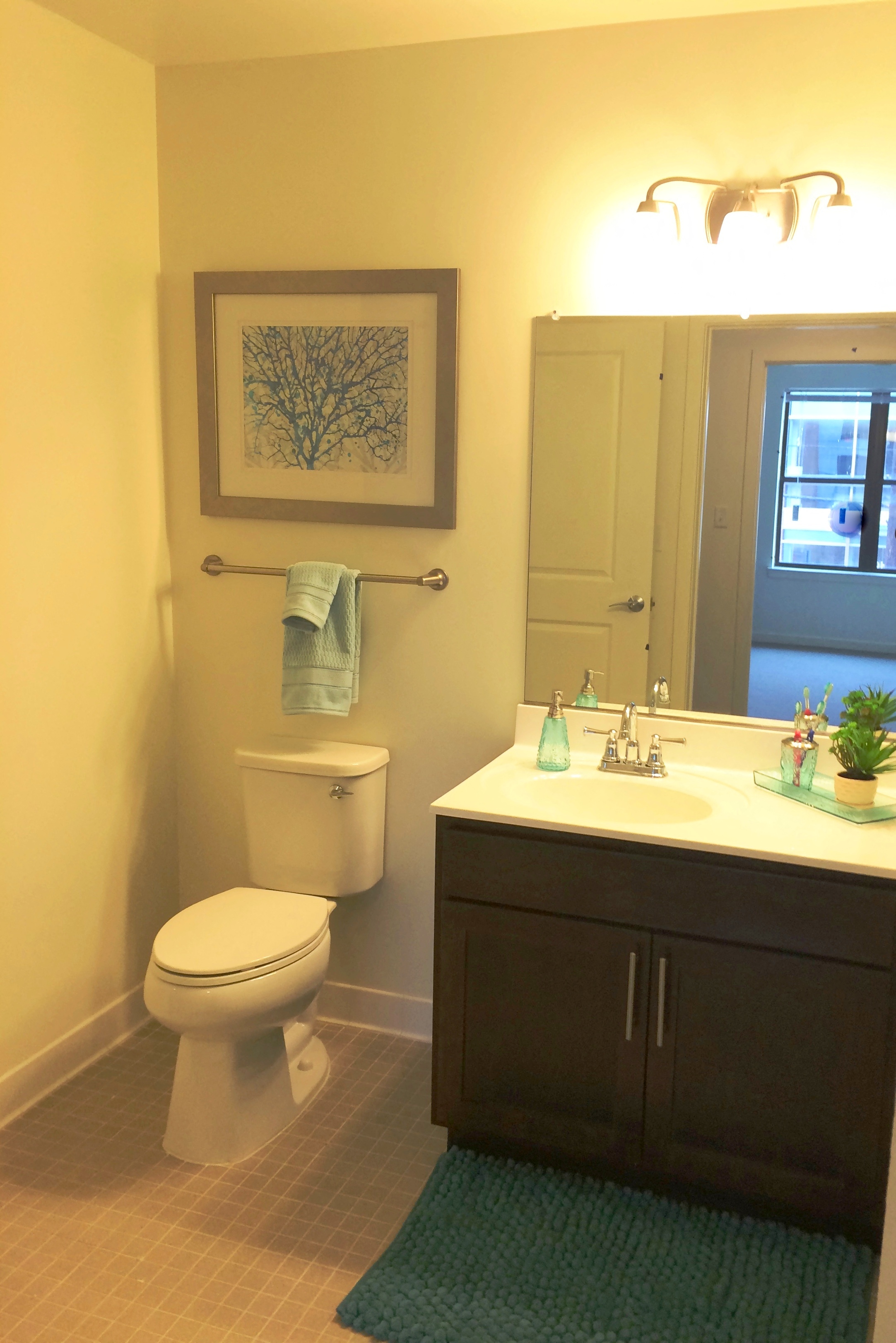 a bathroom with a toilet and a sink and a mirror