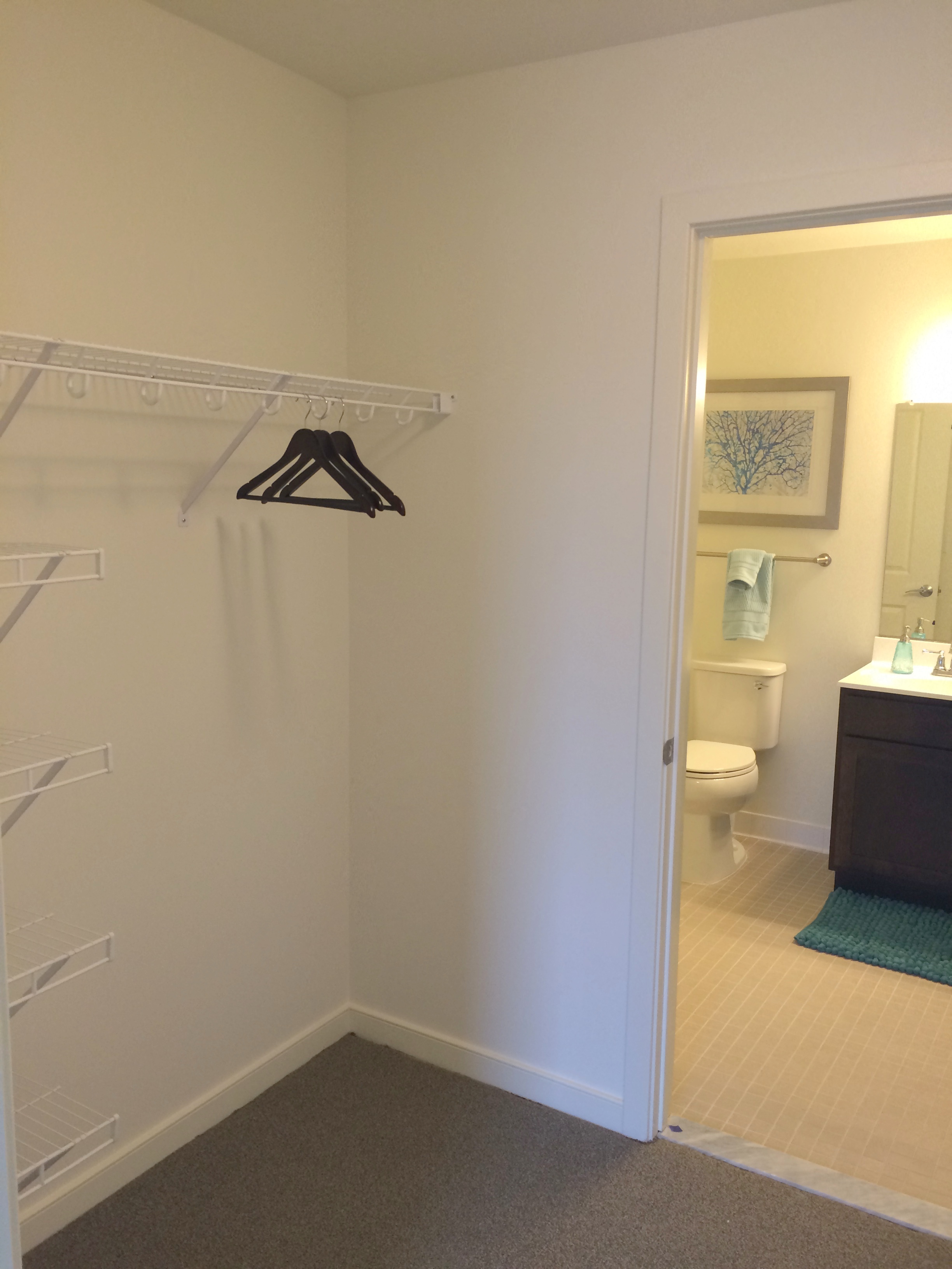 a small bathroom with a shower and a toilet