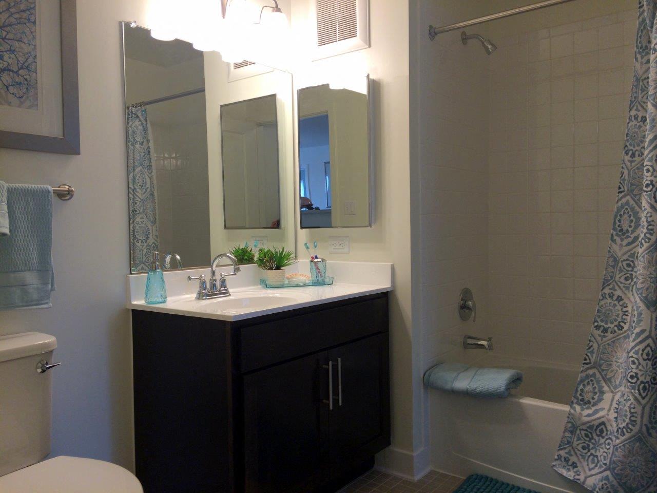 a bathroom with a sink and a shower and a mirror