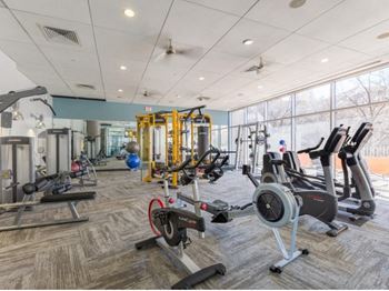 24-Hour Expansive fitness center with cardio and strength equipment at THE MONARCH BY WINDSOR, 801 West Fifth Street, TX