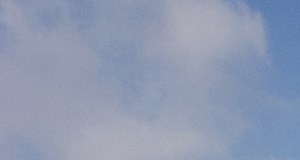 Windsor Village At Waltham Apartments In Waltham Ma Home