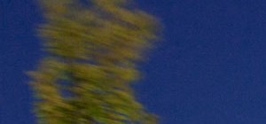 Windsor at Meadow Hills | Apartments Near Denver | Neighborhood