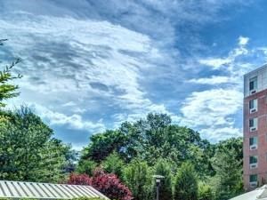 Windsor At The Gramercy White Plains Ny Apartments For
