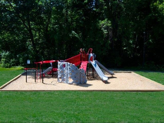 a playground with a bunch of slides in a park