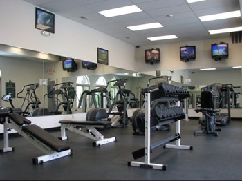 3879 Lone Pine 2-3 Beds Apartment for Rent - Photo Gallery 6