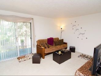a living room with a couch and a television