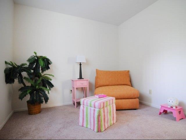 a living room with a couch and a plant